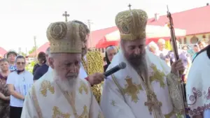 schitul tămand