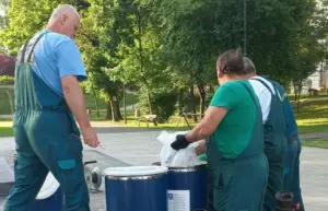 o nouă acțiune de dezinsecție