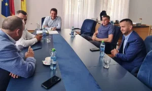 mediate de bibarț