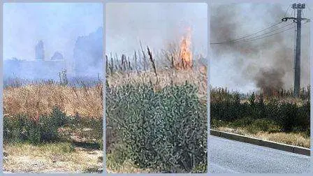 [ACTUALIZARE] Incendiul de la capătul străzii „Bogdan Voievod” a fost lichidat după 5 ore de luptă cu jarul și scânteile. Au ars 4 hectare de vegetație uscată
