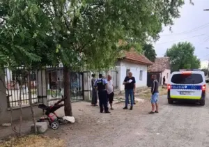 razie la pecica pe tematica