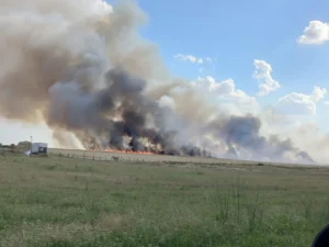 alt incendiu de vegetație uscată