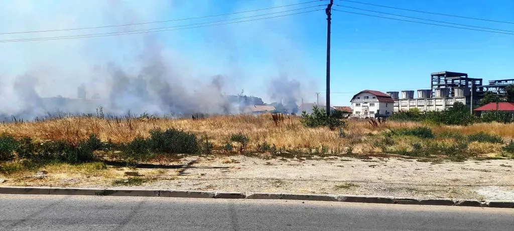 [ACTUALIZARE] Incendiul de la capătul străzii „Bogdan Voievod” a fost lichidat după 5 ore de luptă cu jarul și scânteile. Au ars 4 hectare de vegetație uscată