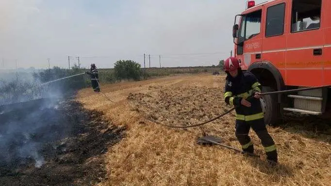 [ACTUALIZARE 2] Incendiul din lanul de grâu, între localitățile Horia și Vladimirescu, a fost lichidat. Au ars aproximativ 30 de hectare de grâu și 50 de hectare de miriște