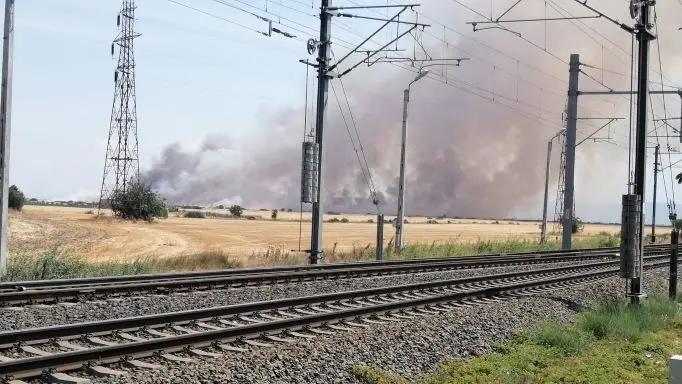 [ACTUALIZARE 2] Incendiul din lanul de grâu, între localitățile Horia și Vladimirescu, a fost lichidat. Au ars aproximativ 30 de hectare de grâu și 50 de hectare de miriște