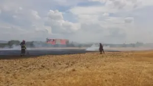 incendiul din lanul de grâu