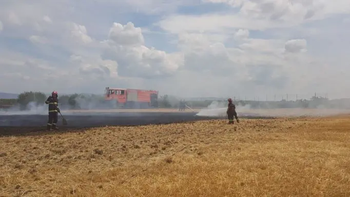 incendiu grau vladimirescu1