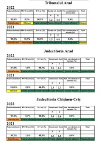 indicatori de eficienta1