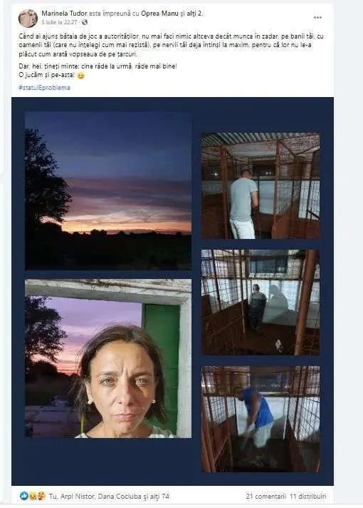 Puneți-o pe Gabriela Decuseară șefă la Adăpostul de pe „Bodrogului”... dacă autorităților locale „li se rupe” de soarta animalelor fără stăpân, D.S.V.S.A. le elimină orice șansă de a fi adoptate și până și ACTIVIȘTII DEDICAȚI S-AU SĂTURAT!