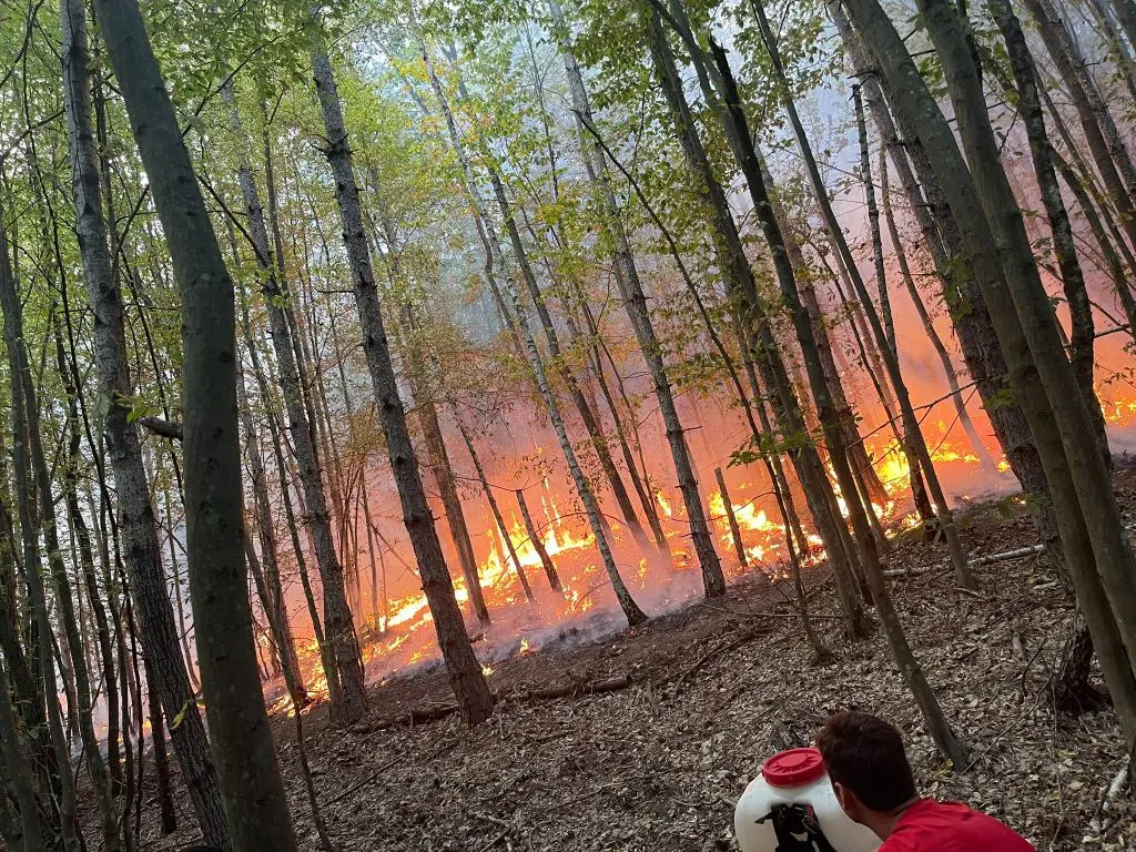 INCENDII ÎN SERIE! Ard păduri, câmpii, recolte, vehicule de la Șagu la Chisindia, în toate zilele și la toate orele. Mesaj disperat al pompierilor: STOP incendiilor de vegetație!
