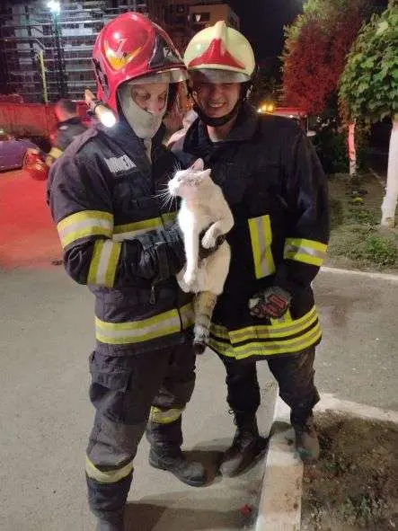 ISU Arad: Analiza situației operative pe semestrul I al anului 2022: 7438 de intervenții în situații de urgență (asistență medicală SMURD - 5400; incendii - 344; alte intervenții - 1694)