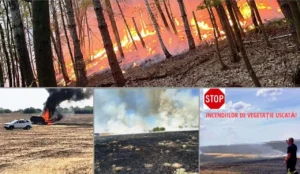 incendii în serie! ard păduri