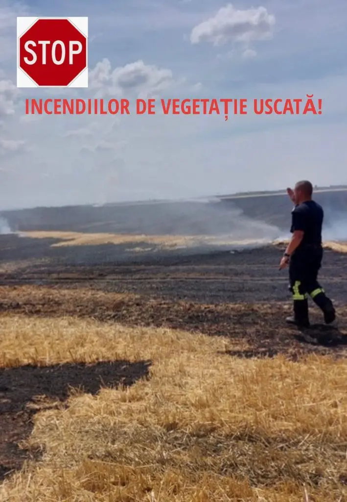 INCENDII ÎN SERIE! Ard păduri, câmpii, recolte, vehicule de la Șagu la Chisindia, în toate zilele și la toate orele. Mesaj disperat al pompierilor: STOP incendiilor de vegetație!