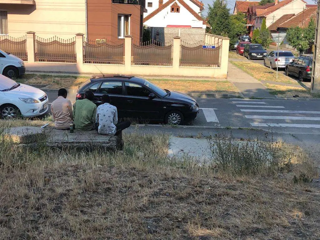 [ACTUALIZARE 2] Studenții marocani care au comis sordida crimă din „Vlaicu” au primit pedepse relativ minore din partea Tribunalului Arad