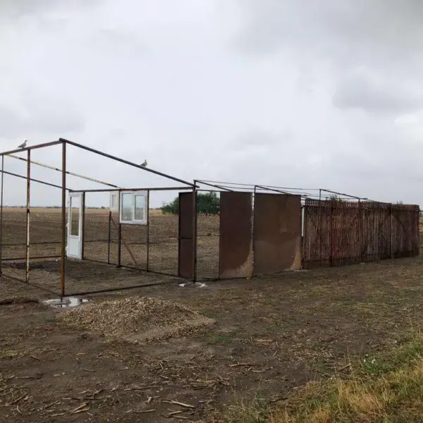 constructie arad