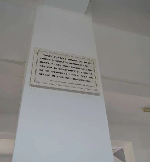 Când nu-i omoară pur și simplu, CONDIȚIILE INUMANE tolerate de cadrele din Penitenciarele Timișoara și Arad „redau societății” oameni mai abrutizați decât când au intrat, cu PLOȘNIȚE, ȘORICIOAICĂ și boli transmisibile cu tot... asta și „grație” noului director al ANP, notoriul Dan Halchin!