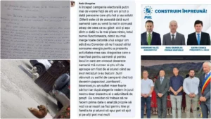 o haită de câini agresivi terorizează