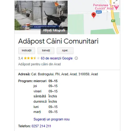 TRAUMA CÂINILOR ajunși în „Adăpostul public” și CONFORTUL MEDICILOR veterinari ai DSVSA Arad trebuie COMBINATE cumva: de-acum puteți să le scrieți și să-i sunați NOMINAL [TABEL]