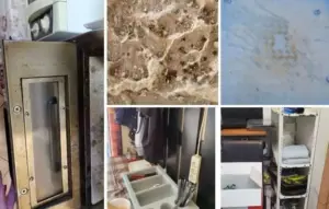altă firmă care livrează mâncare