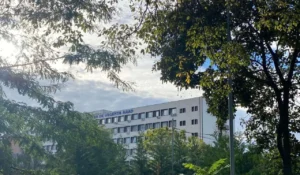 în contextul numărului mare