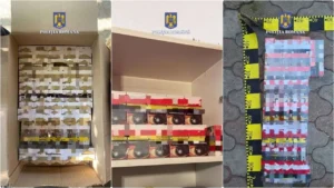 polițiștii din chișineu-criș au fost