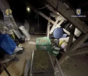 ziua recoltei” întreruptă în flagrant