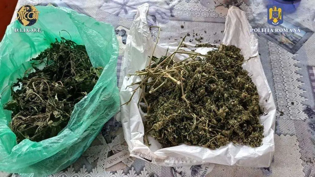 [ACTUALIZARE] Rezultatul amplei acțiuni de miercuri dimineața: 14 ARESTAȚI, 5 pe „control judiciar” și cantități mari de „cristal” și „șoricioaică”, cocaină, ciuperci și „iarbă” ridicate de DIICOT
