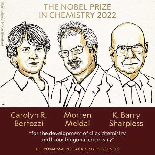 Premiul Nobel pentru CHIMIE le-a fost acordat CONSTRUCTORILOR DE MOLECULE care au pus bazele CHIMIEI-CLICK