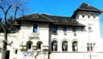 Institutul cultural român există doar pentru nevoia de a satisface tot felul de sinecuri 13 institutul cultural român