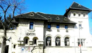Institutul cultural român există doar pentru nevoia de a satisface tot felul de sinecuri 23 institutul cultural român