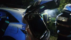 un autoturism hibrid a ars