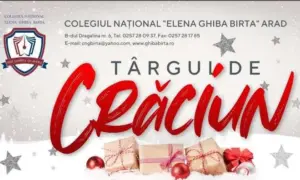 târg de crăciun la „ghiba birta”
