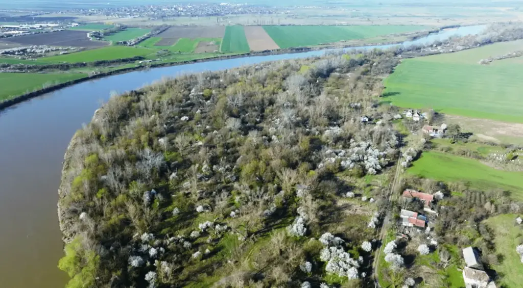 parcul natural lunca muresului