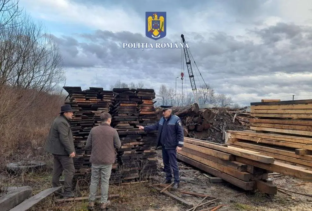 Societate comercială din Bârzava - cercetată pentru mai multe infracțiuni de fals intelectual, fals informatic și transport de material lemnos fără documente