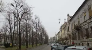bibarț: „toate lucrările ce implică intervenții