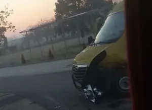 un șofer a intrat