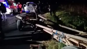 un autoturism și un atelaj