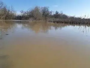 almaș - inundatii