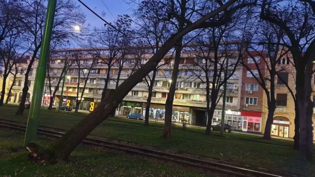 Efectele furtunii care a speriat Aradul i-au făcut pe POMPIERII MILITARI - EROII ZILEI de 4 februarie