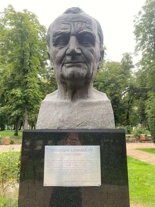 DOMNUL PROFESOR TOHĂNEANU
