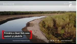 așa „ecologizăm” noi