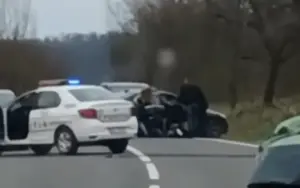 tinerii opriți la buteni