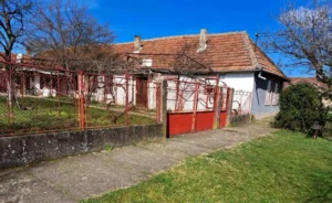fratricid la neudorf