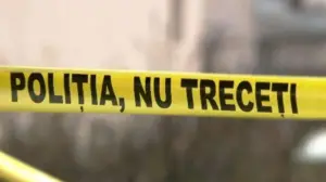 ipj arad