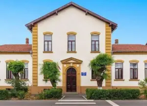 centrul școlar pentru educație incluzivă