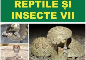 expoziție de reptile și insecte vii
