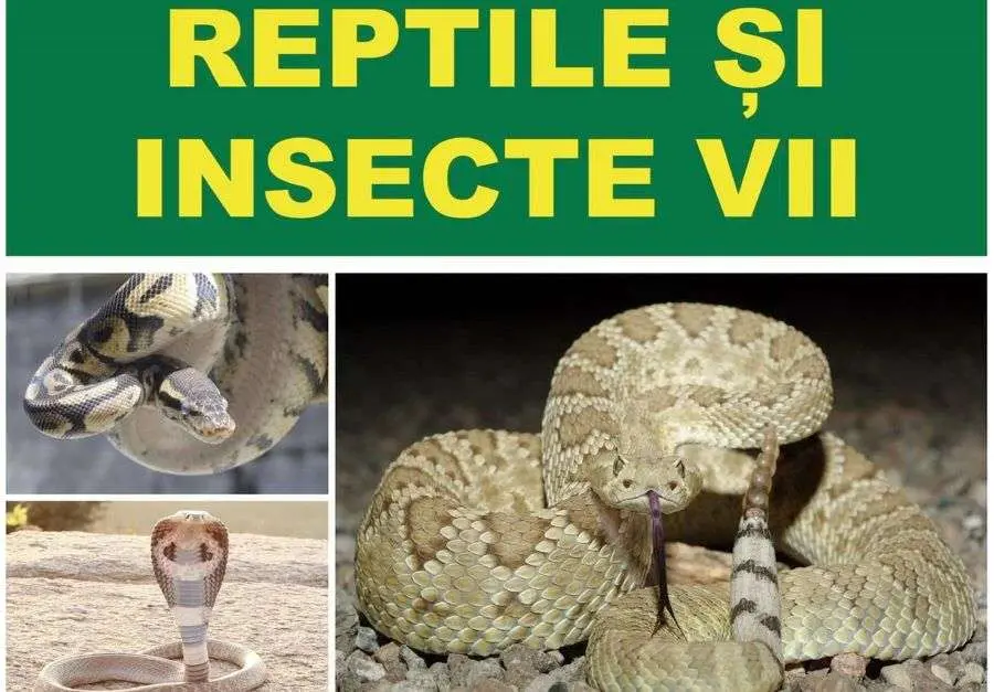 muzeu arad expozitie reptile 30 mai 1