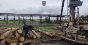 două firme - amendate contravențional