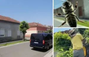 un arădean atacat