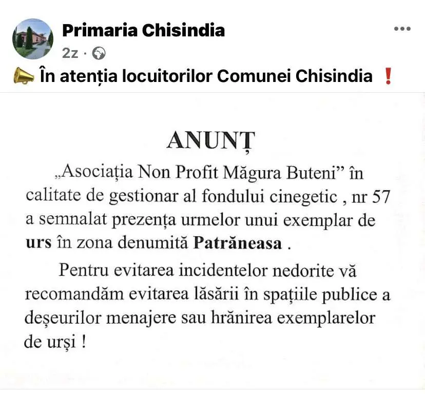 Mai ursul lipsea în Chisindia! - restul le prisosește...
